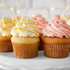 The Ultimate Guide to Frosting!