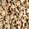 best quality Dried Extra Large size Fava Beans