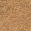 Dried Moth Bean Bulk 