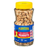 Planters - Peanut Seasoned Dry Roasted - 300g