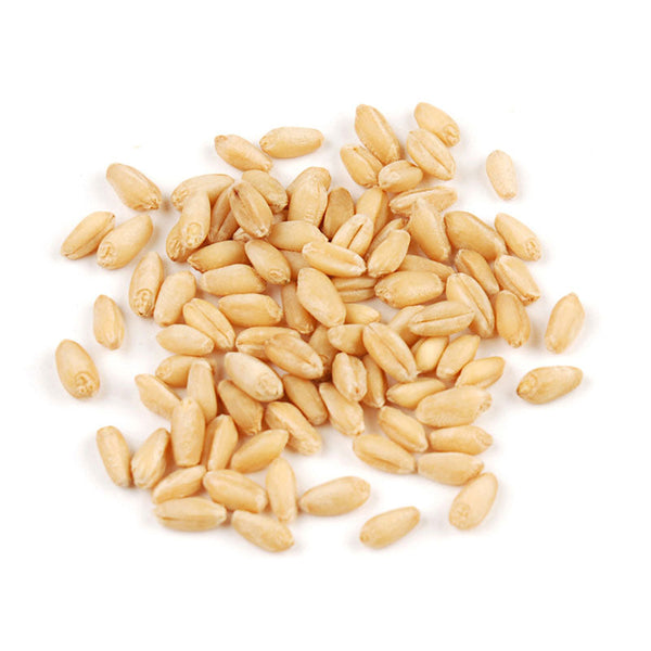 Soft Wheat Kernels