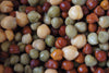 Clic - Multicolor Chickpeas - 100 oz - Bulk Mart