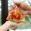 Full Circle - 4oz Clear Poly Bags 3.5" x 6"- 2000 / Case - Megastore