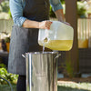 Saporito - Canola Oil Box - 16 L - Bulk Mart