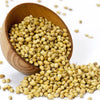 CORIANDER SEEDS