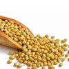 Bulk Dried Coriander seeds 