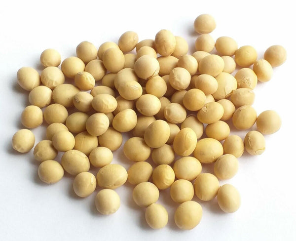 Clic - Dried Soy Beans - 15 kg