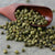 Whole Green Peppercorns