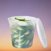 PCM - S-24 -24 Oz Clear Microwavable Deli Container Combo - 24 Sets - Mega Store