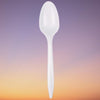 Vintage - Plastic Teaspoon White Unwrapped - 1000/Case - Mega Store